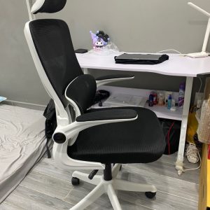 Ghế xoay Công Thái Học LG01